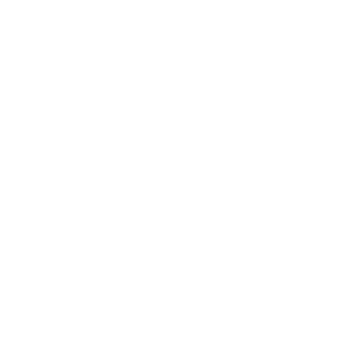 Trip Advisor Review logo